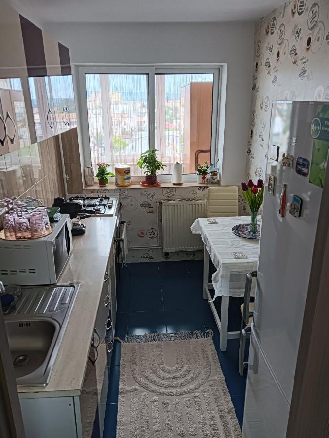 Hellen Apartament ทาร์โกวิชเต ภายนอก รูปภาพ